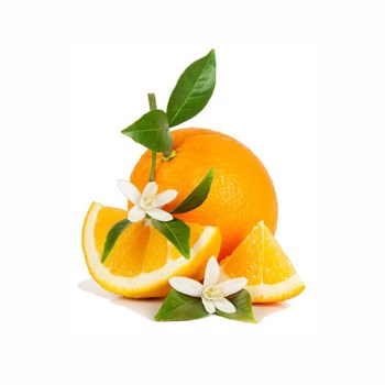 shutterstock-119076610